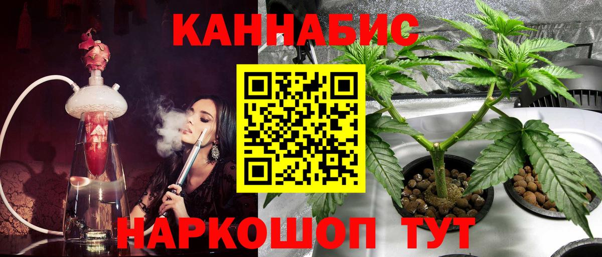 Канабис OG Kush  Каннабис конопля  Трёхгорный  Вход с VPN  МАРИХУАНА Bruce Banner  Канабис семена 